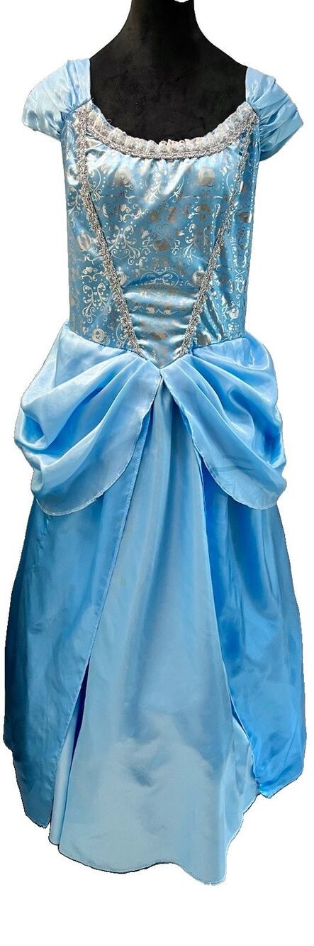 Deluxe Disney's Cinderella Dress Costume for Women's, Size Large (12-14x)